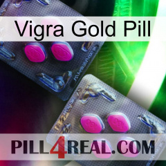 Vigra Gold Pill 01